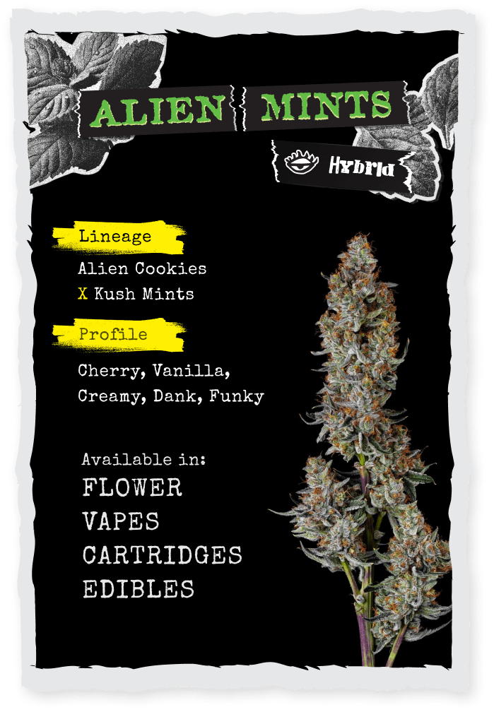 Alien Mints Alien Mints
