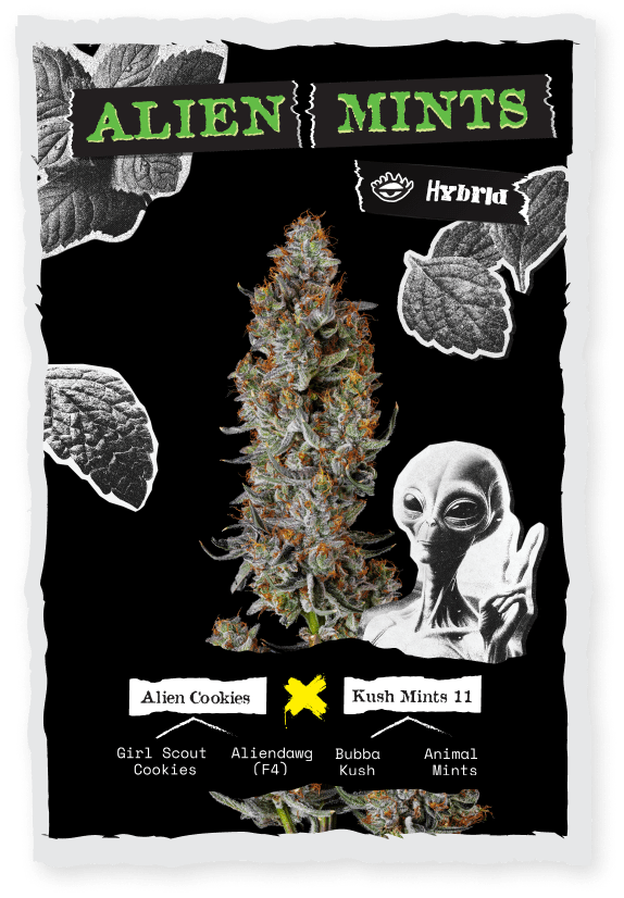 Alien Mints 