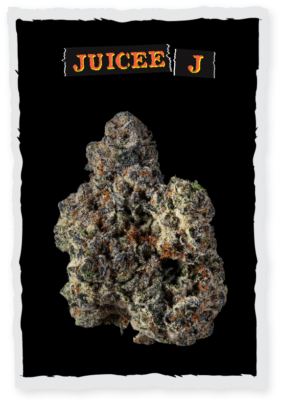 Juicee J