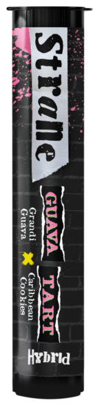 Joint Guava Tart Joint Guava Tart
